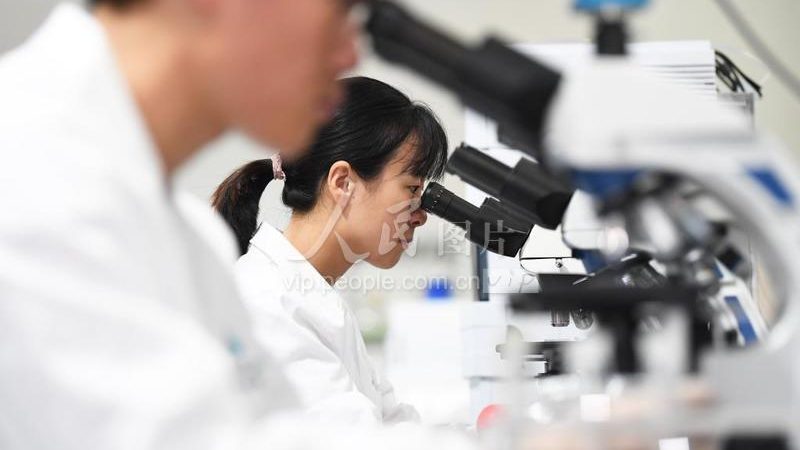 医用离心管容量之选：15ml与50ml的差异化考量**