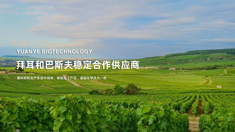 实验室细胞工厂：生物反应器规格如何影响生产效率**