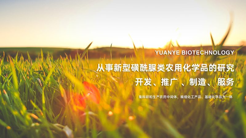 CRS实施流程：揭秘生物科技研发中的关键步骤与数据监控