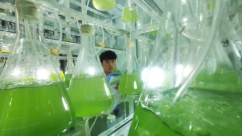 PCR移液器国产化：探索背后的技术逻辑与选型要点
