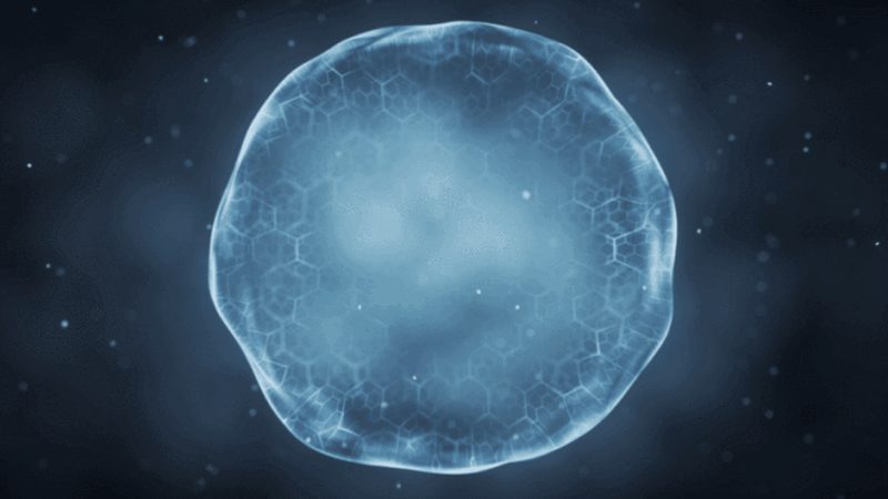 疫苗类生物制品生产流程步骤解析