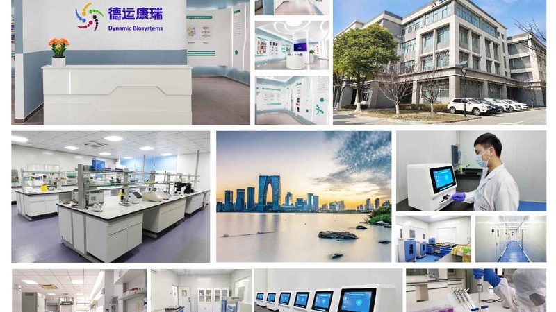 生物科技公司的分类标准解析**
