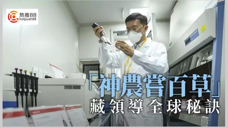 引物合成：HPLC与PAGE的优劣解析