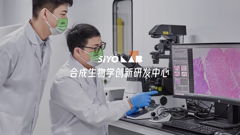 CRO优化工具定制开发：揭秘医药研发背后的“智脑