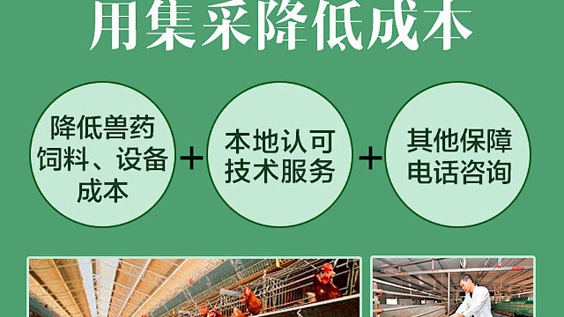 RNA提取试剂盒：揭秘其批发价格背后的秘密
