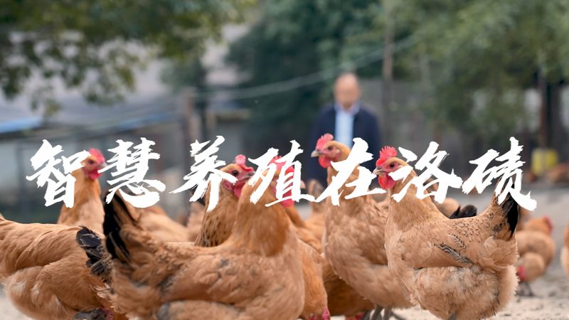 离心管灭菌：细节决定实验成败