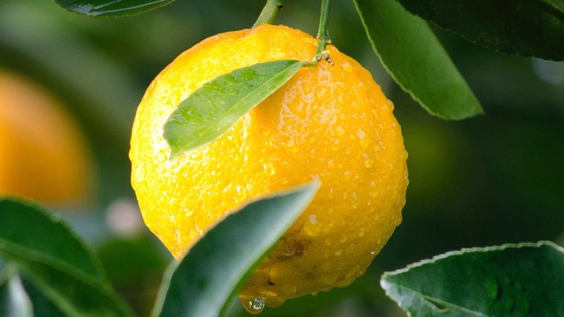 抗衰老生物科技美容仪，揭秘其科学使用流程